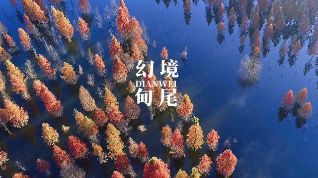 小猫钓鱼游戏龙王版有船